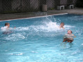 2008 Sommer